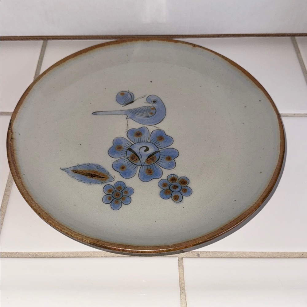 Ken Edwards Mexican TONALA POTTERY El Palomar 10” plate #1 🐈‍⬛